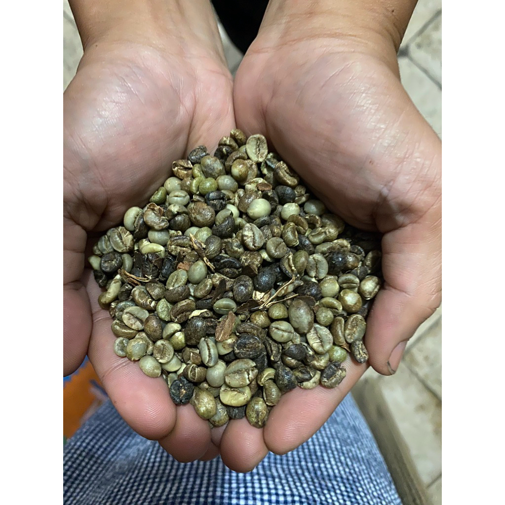 

Kopi Robusta asalan