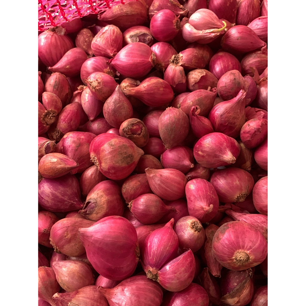 

Bawang merah jumbo/besar 1KG