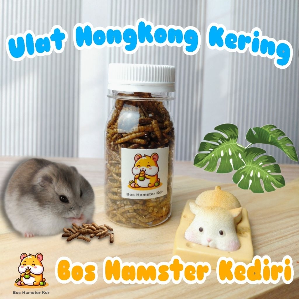 Ulat Hongkong Kering Snack Hamster Multivitamin Additional