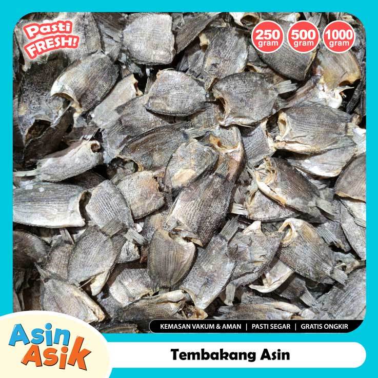 

Ikan Sepat Tembakang Asin Segar Fresh Mantap Kemasan Vakum Aman Higienis
