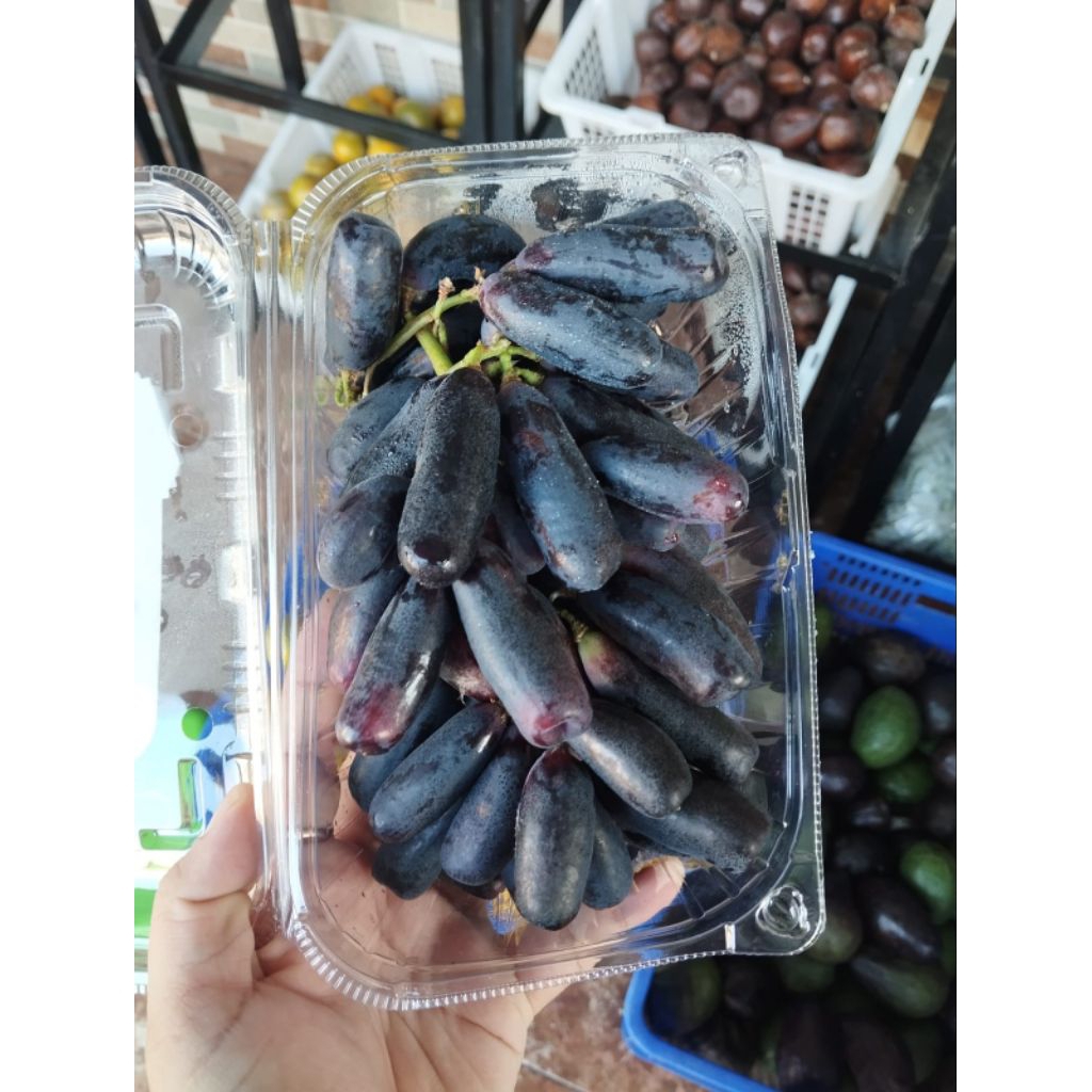 

Anggur Black Saphire