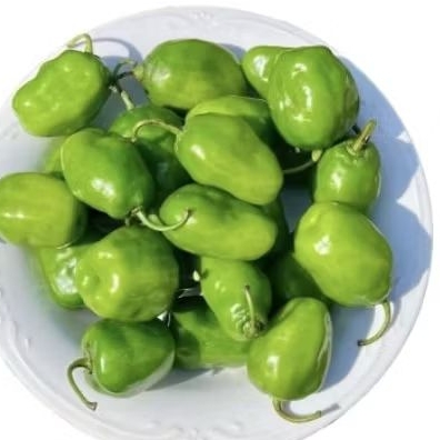 

CaBe gendot lokal asli segar super pedass 1 Kg