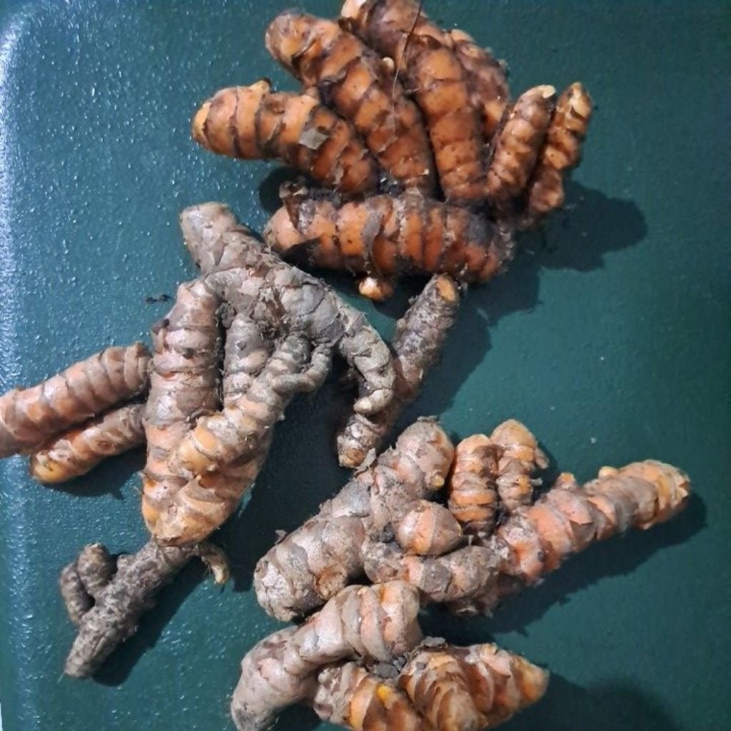 

kunyit original kunyit lokal 1kg asli indonesia hasil bumi