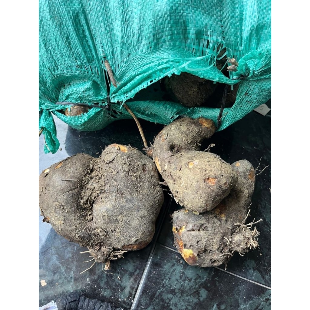 

Fresh Uwi Manis Tuban 1 kg