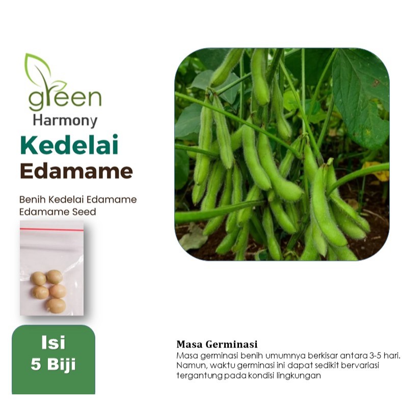 Bibit Sayur Sayuran Kedelai Edamame Unggul 5Benih
