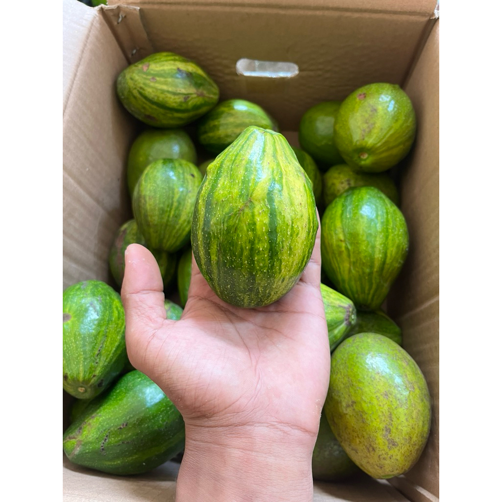 

Alpukat Mentega 1kg