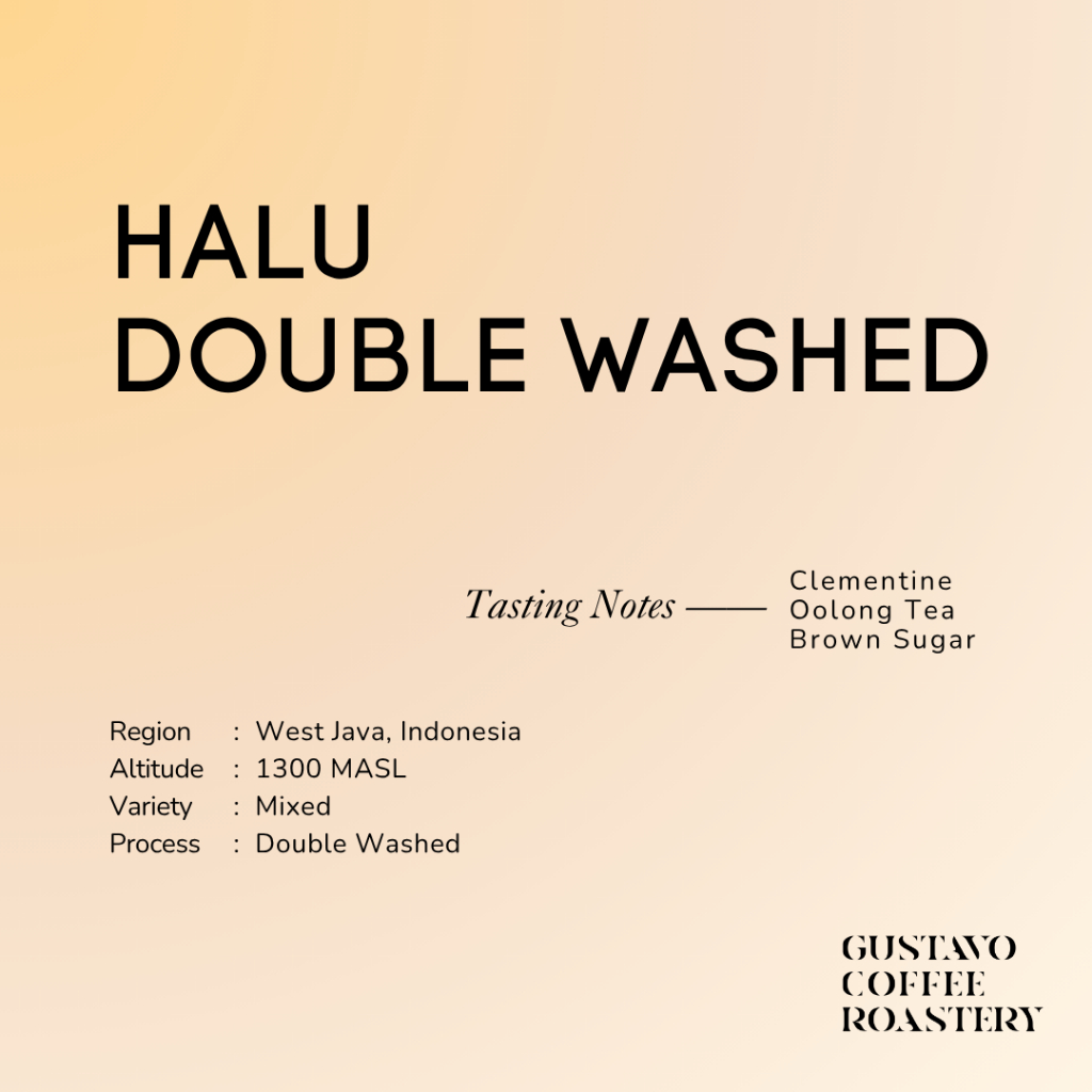 

Biji Kopi Arabika JAVA HALU DOUBLE WASHED Single Origin Gustavo