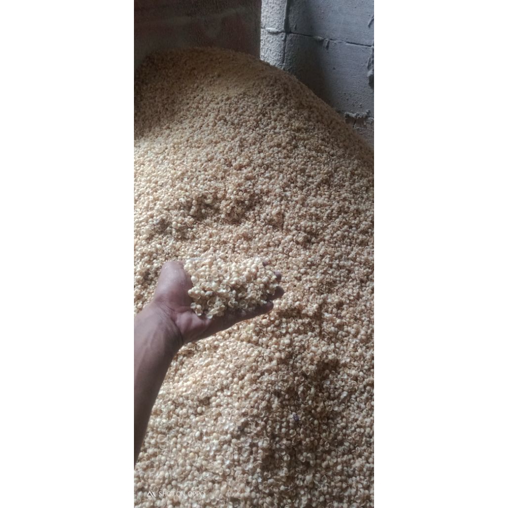 

Kleci/Kulit ari kedelai 10 Kg