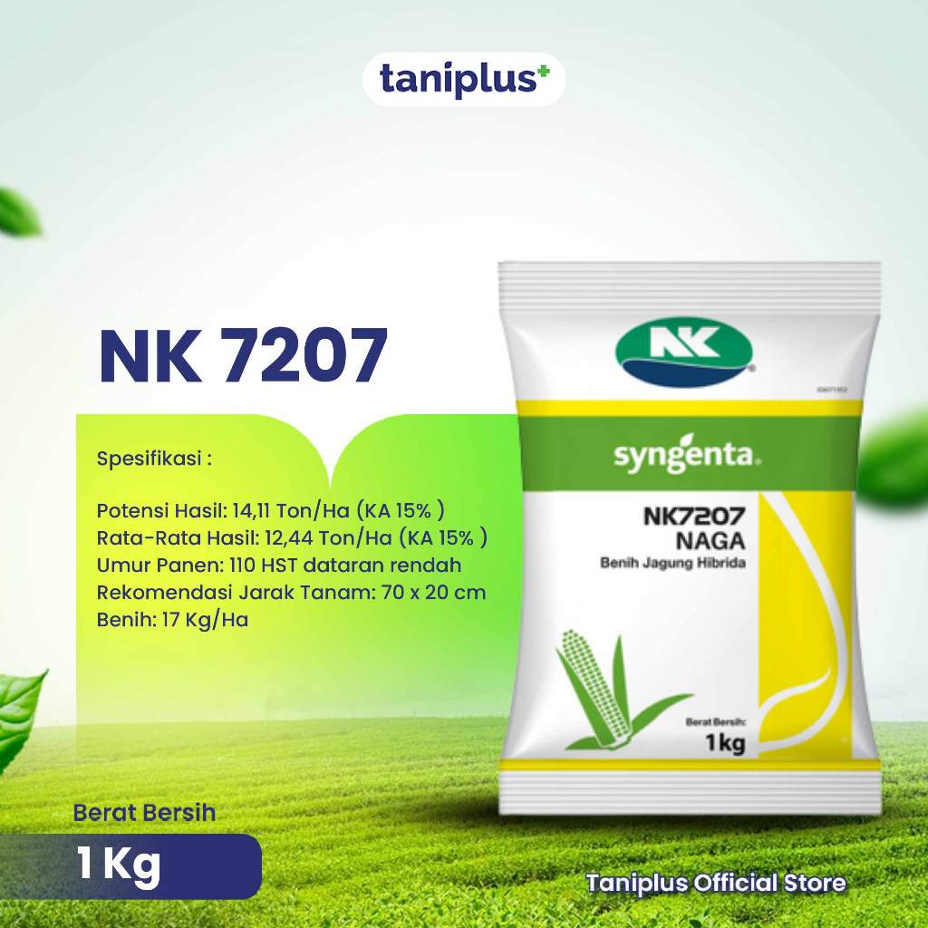 NK 7207 1 Kg - Benih Jagung