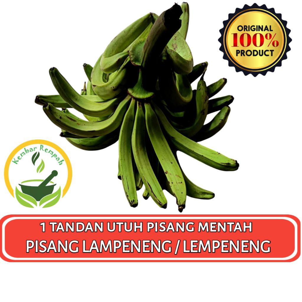 

1 Tandan Pisang Lampeneng Mentah PISANG LEMPENENG SEGAR