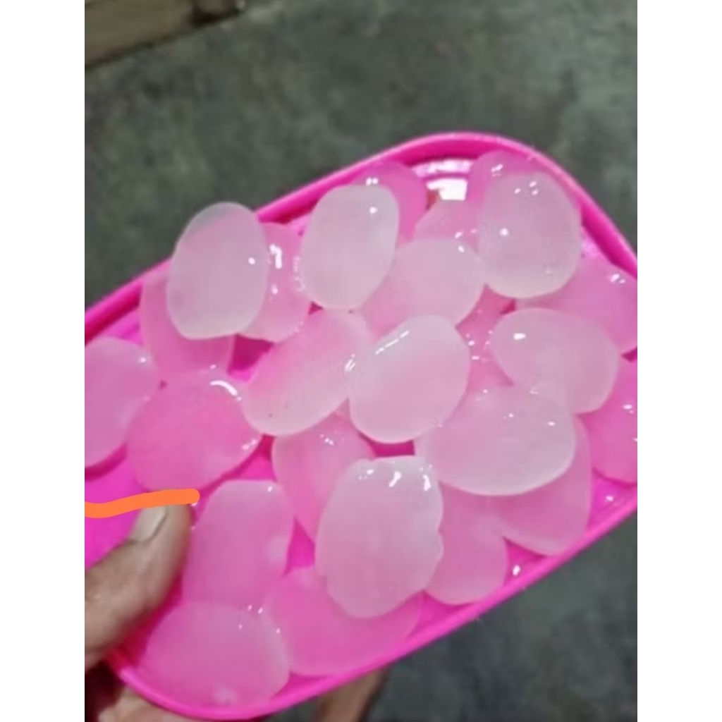 

KOLANG KALING MUDA SEGAR 1kg