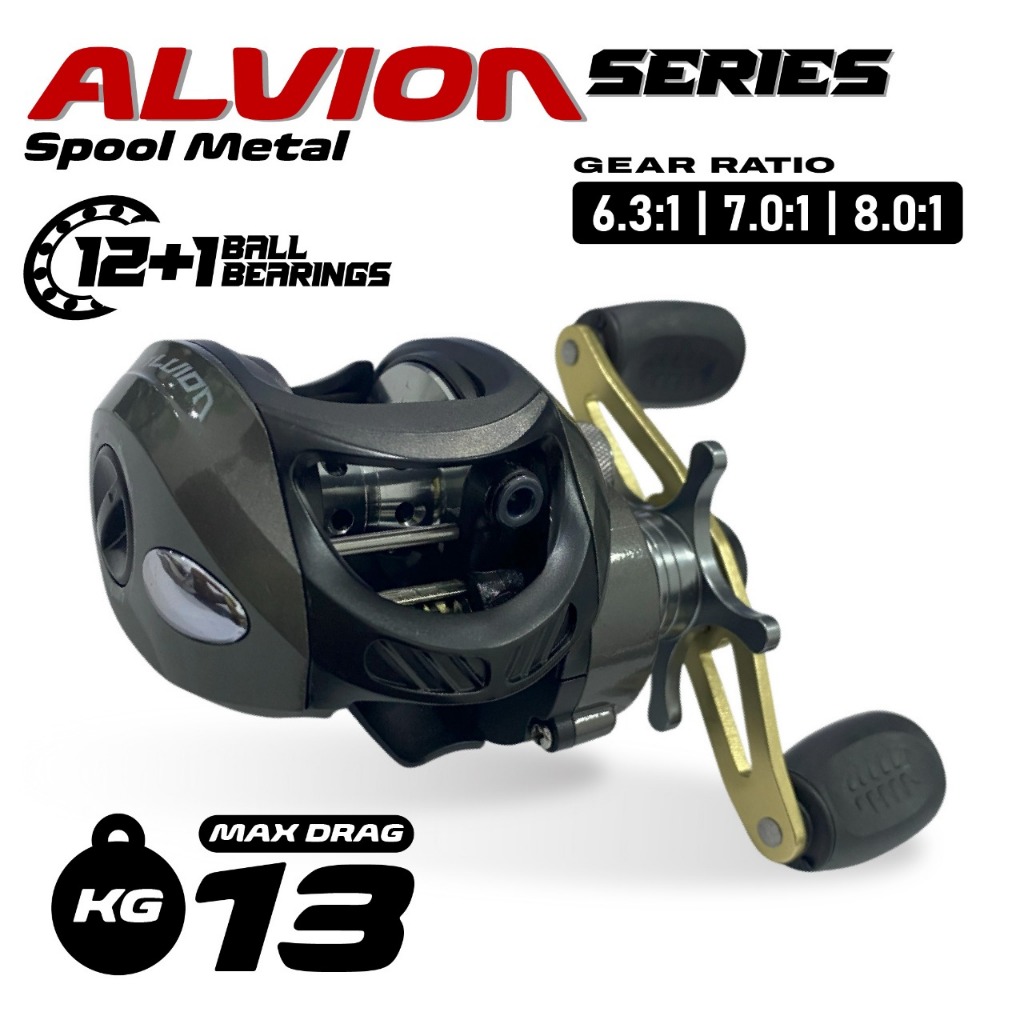 Reel Pancing Baitcasting Alvion Series Spool Full Metal Reel Casting 12+1 BB Max Drag 13KG
