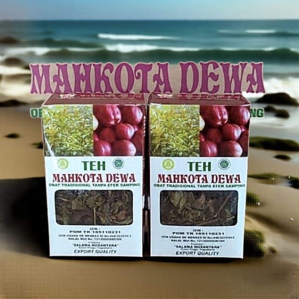 

Teh Mahkota Dewa Salama Nusantara - Teh Herbal Menjaga kesehatan tubuh