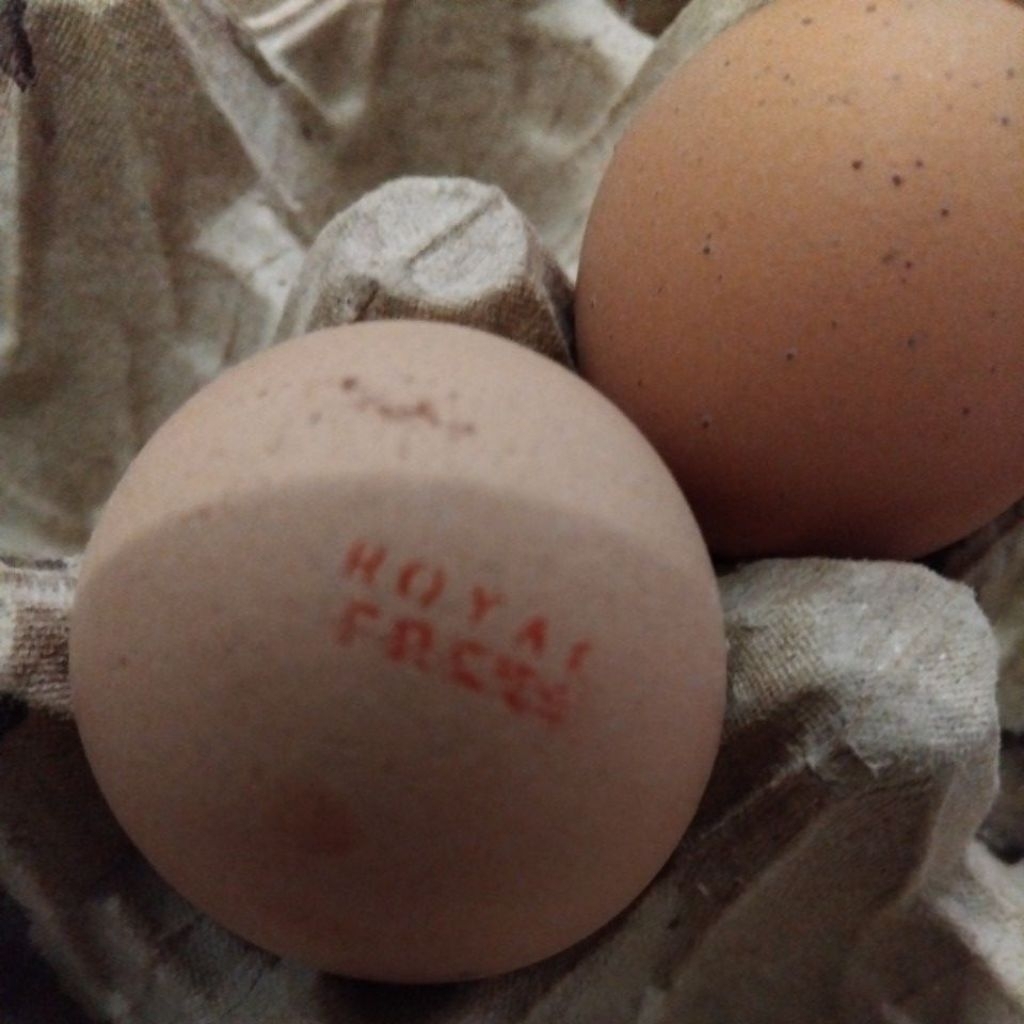 

Royal Fresh Eggs/Telur Omega/Organik/Low Cholestrol