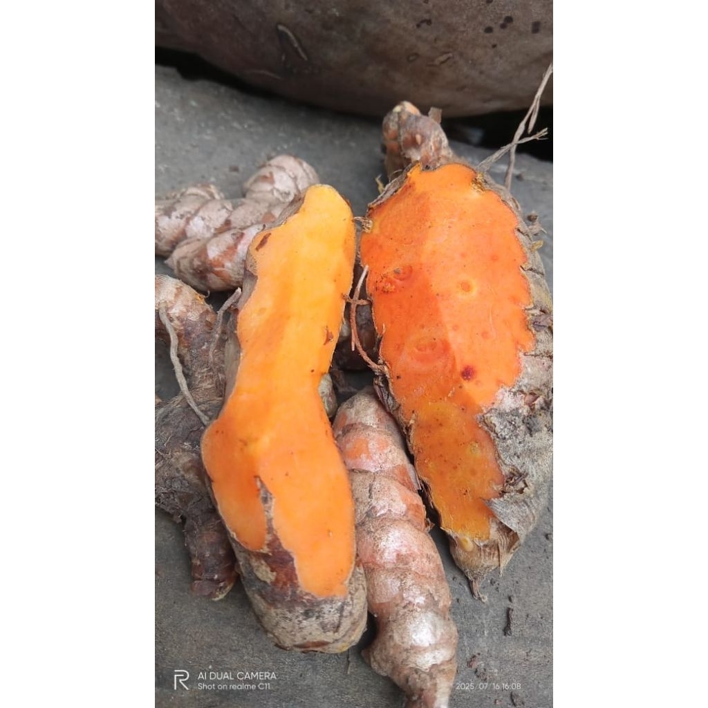 

kunyit bumbu,, masak