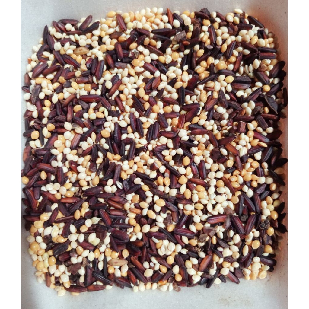 1 kg pakan burung perkutut