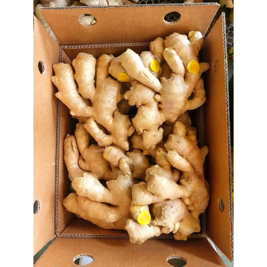 

kunyit koneng kunir pinggang atau koneng gede 1000 gram