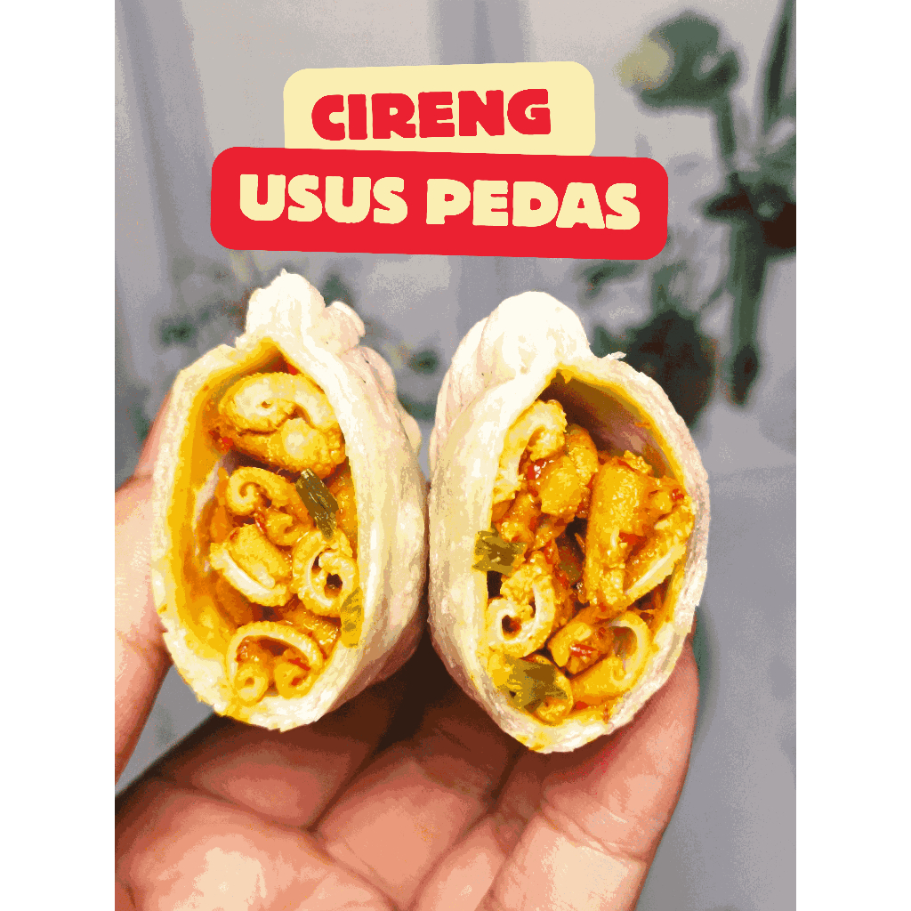

Cireng Isi 10 Usus Pedas