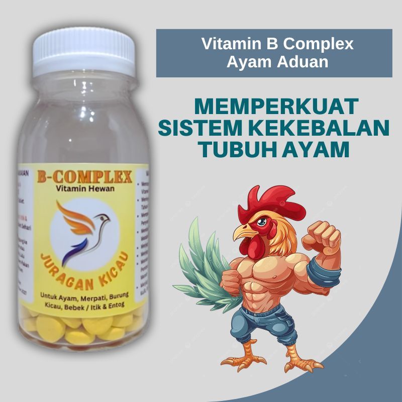 B Complex Vitamin Ayam Aduan Untuk Meningkatkan Sistem Kekebalan Tubuh
