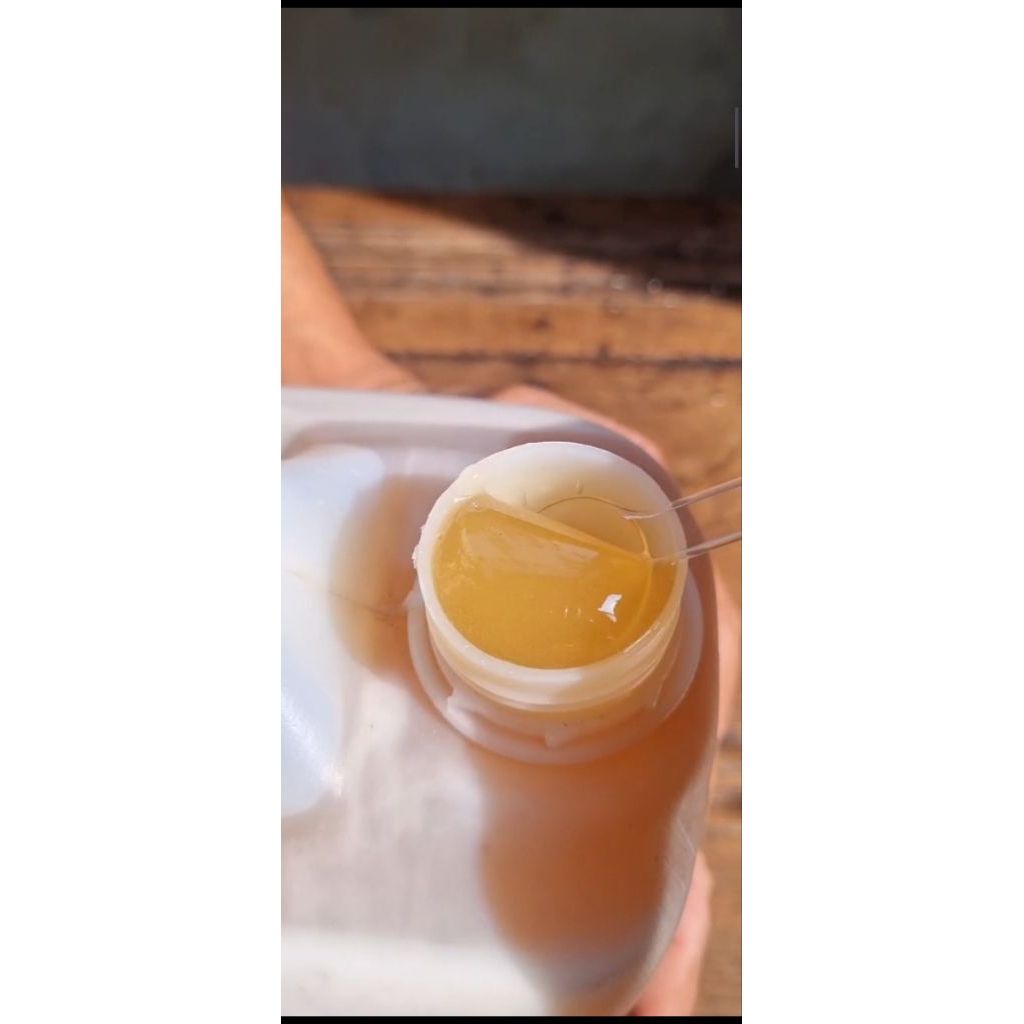 

Madu Yaman Hadramaut Sidr Malaki Dzahabiy