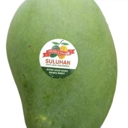 

Buah mangga suluhan matang pohon super premium manis 1 kg
