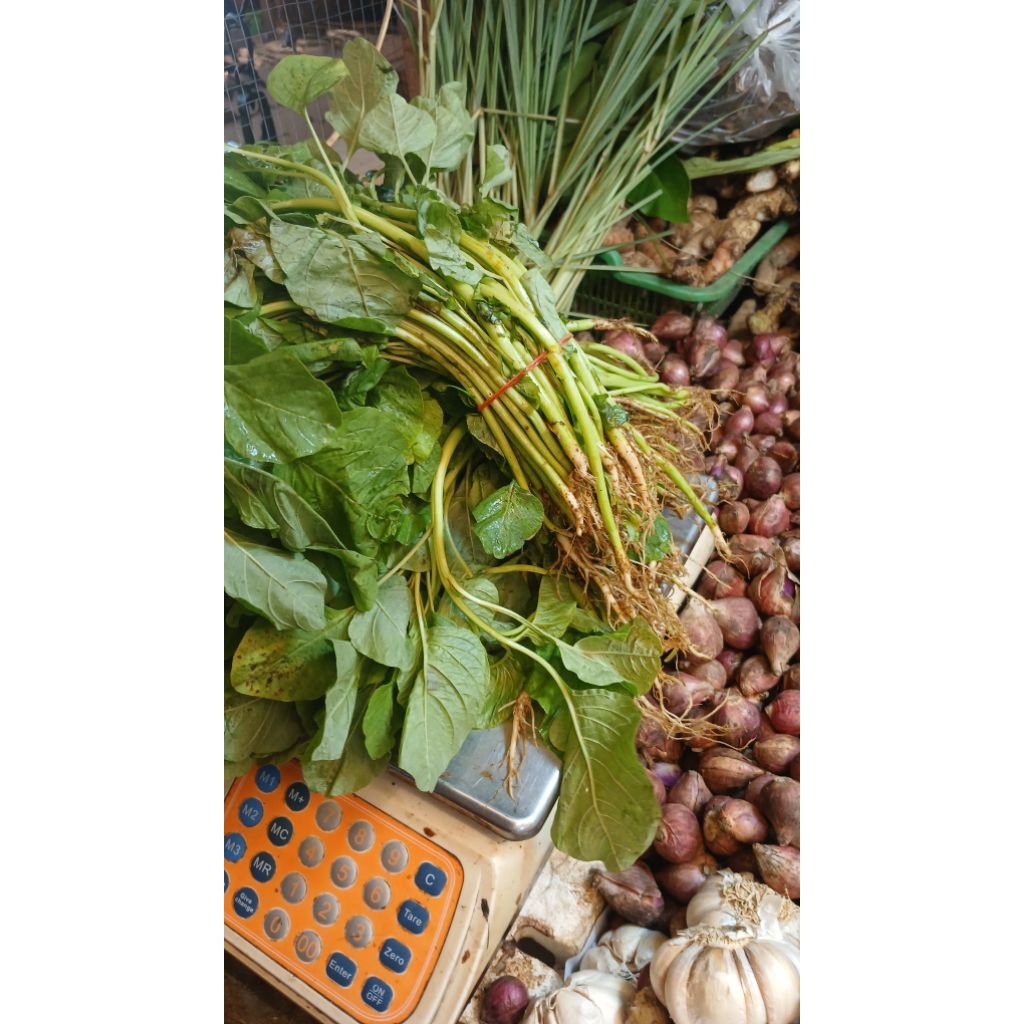 

sayur bayam fresh 1kg PROMO HARI INI