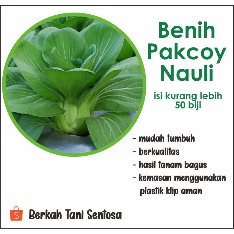 

Ready Stok Biji Benih-Bibit Sawi Pakcoy Murah Berkualitas