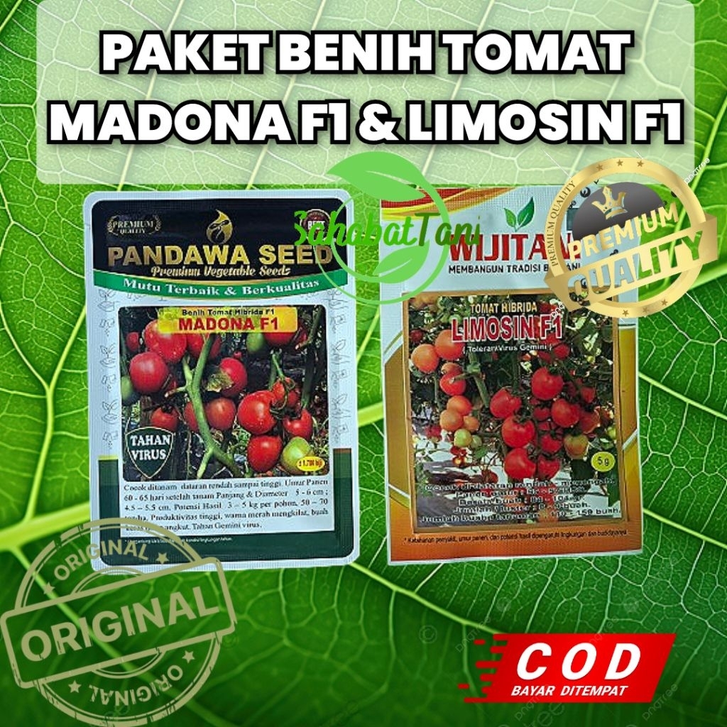 PAKET TOMAT MADONA F1 (1) & LIMOSIN F1(1) tomat sayur unggul f1