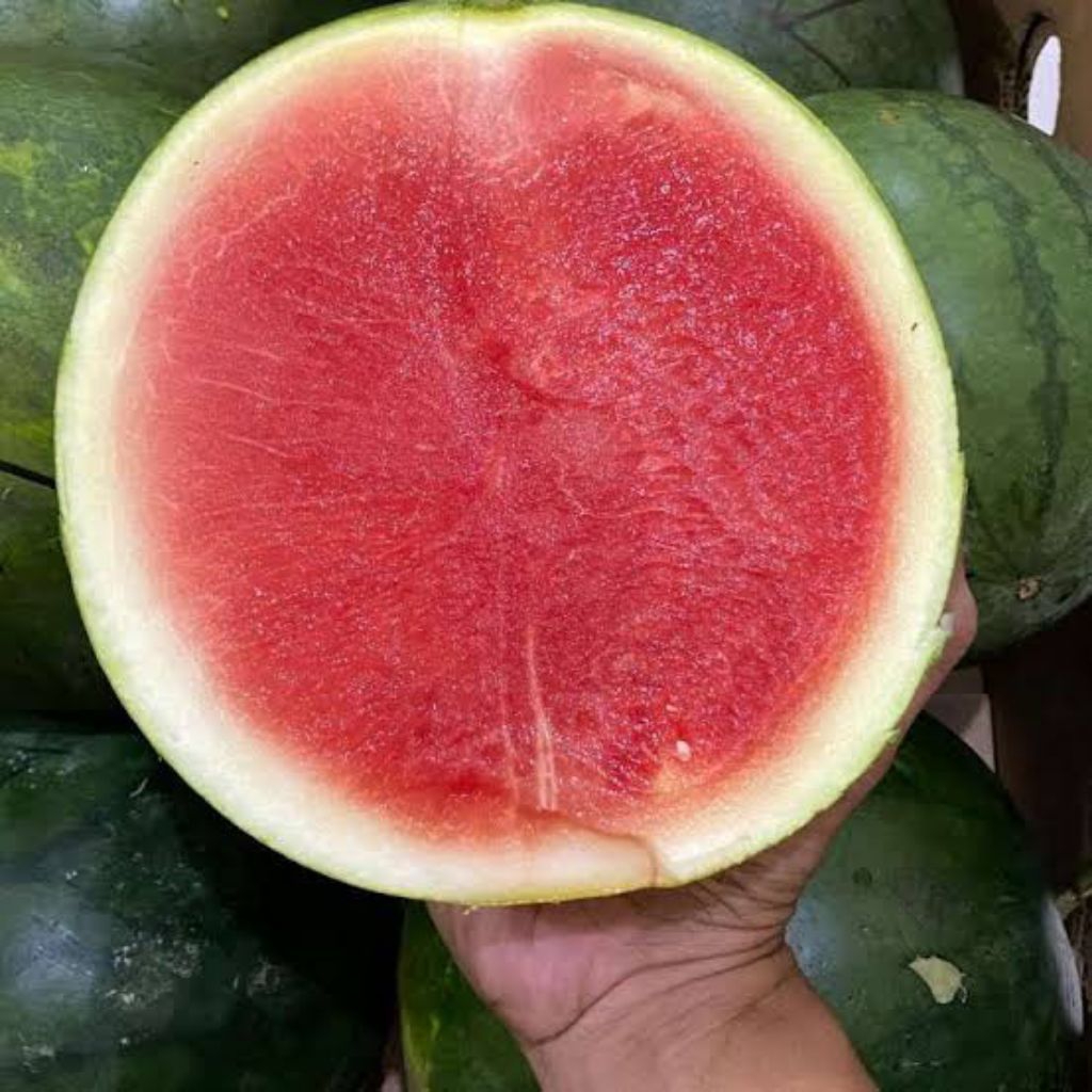 

Buah segar buah semangka per 1 buah 4kg non biji buah mnais