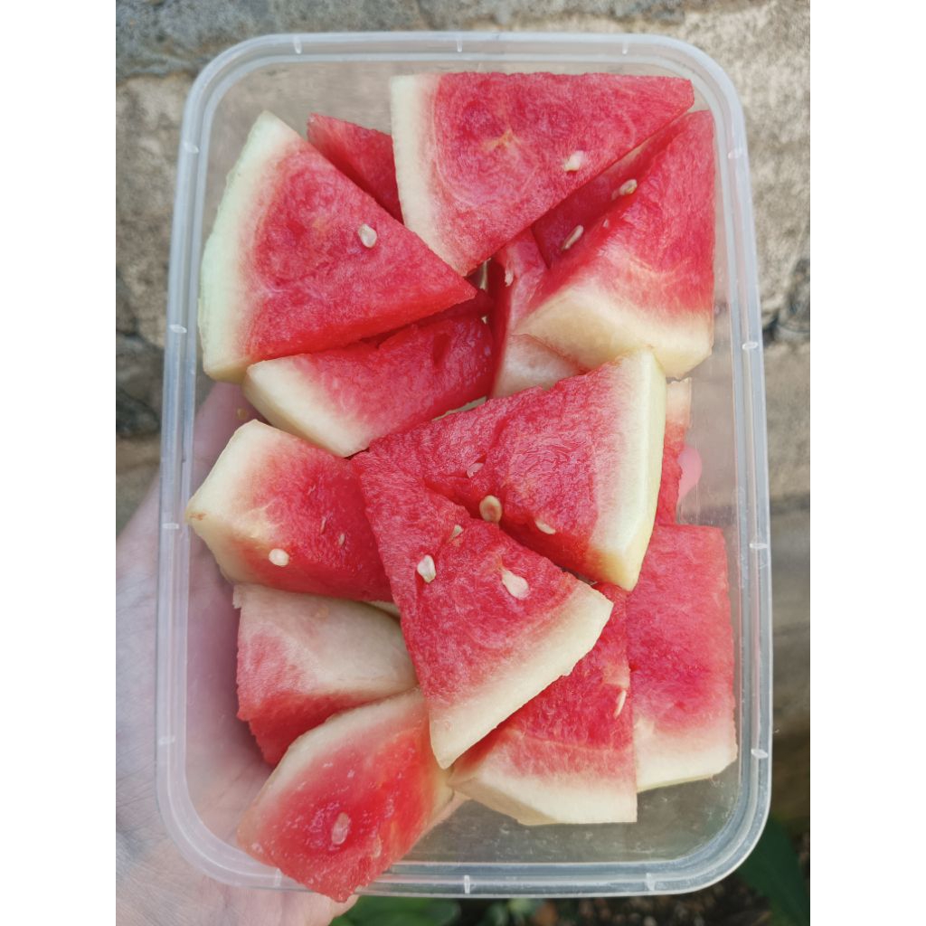 

Buah Potong Segar