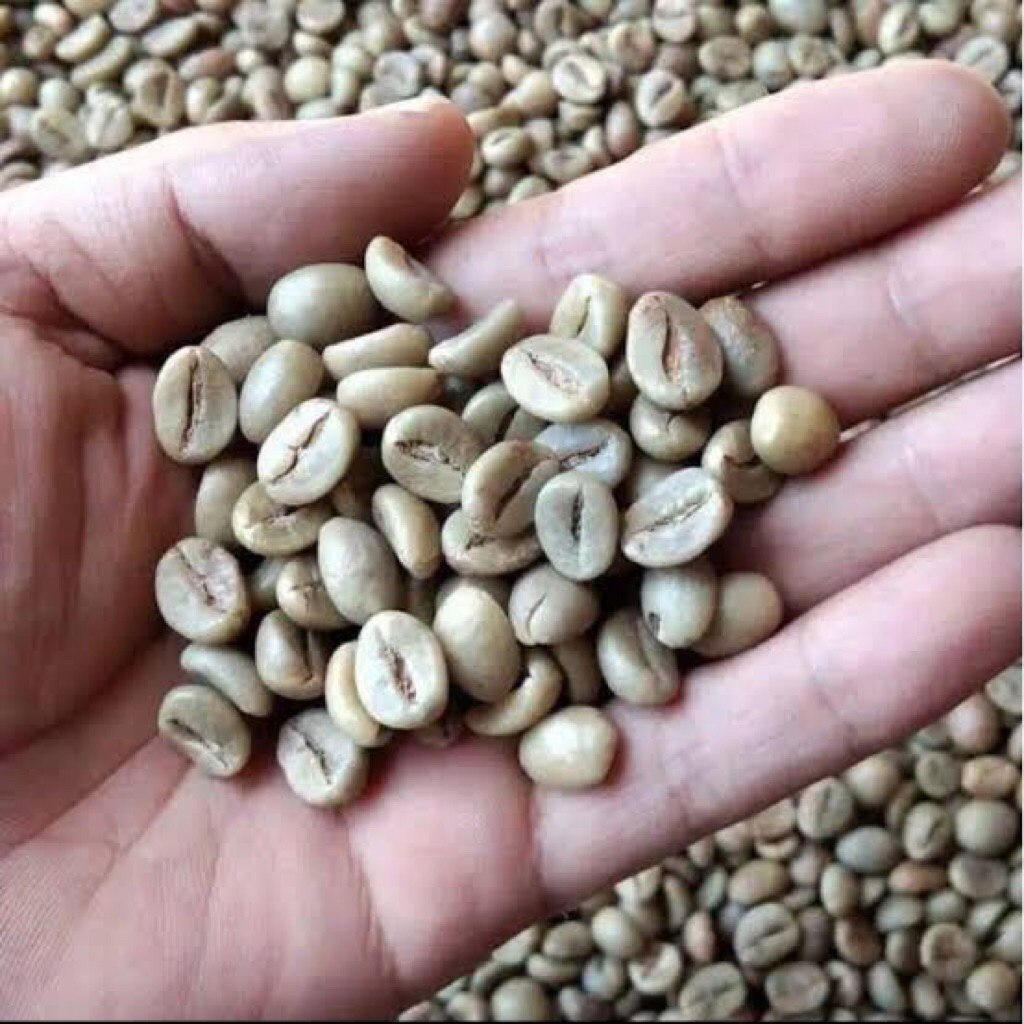 

Green bean robusta G1 biji kopi robusta dampit G1 petik merah