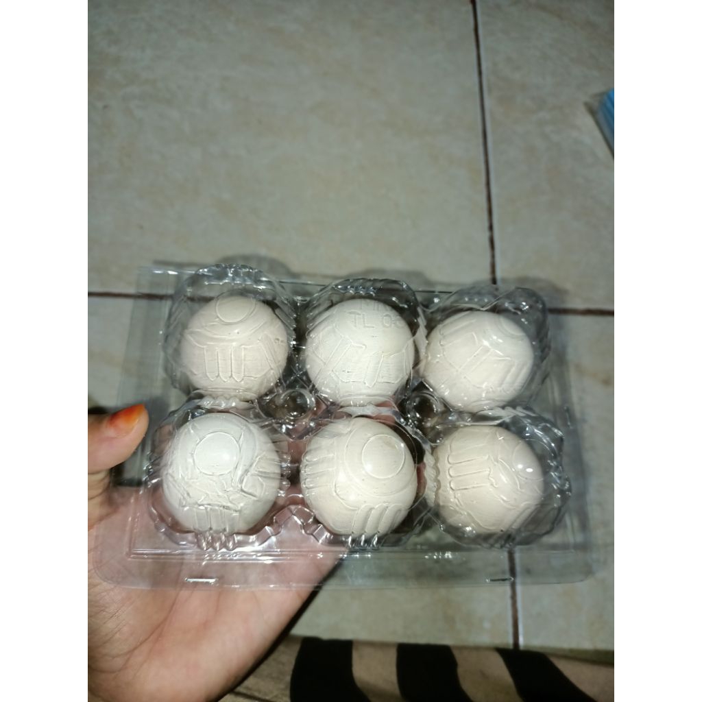 

Telur Fertil Ayam Elba & KUB perbiji