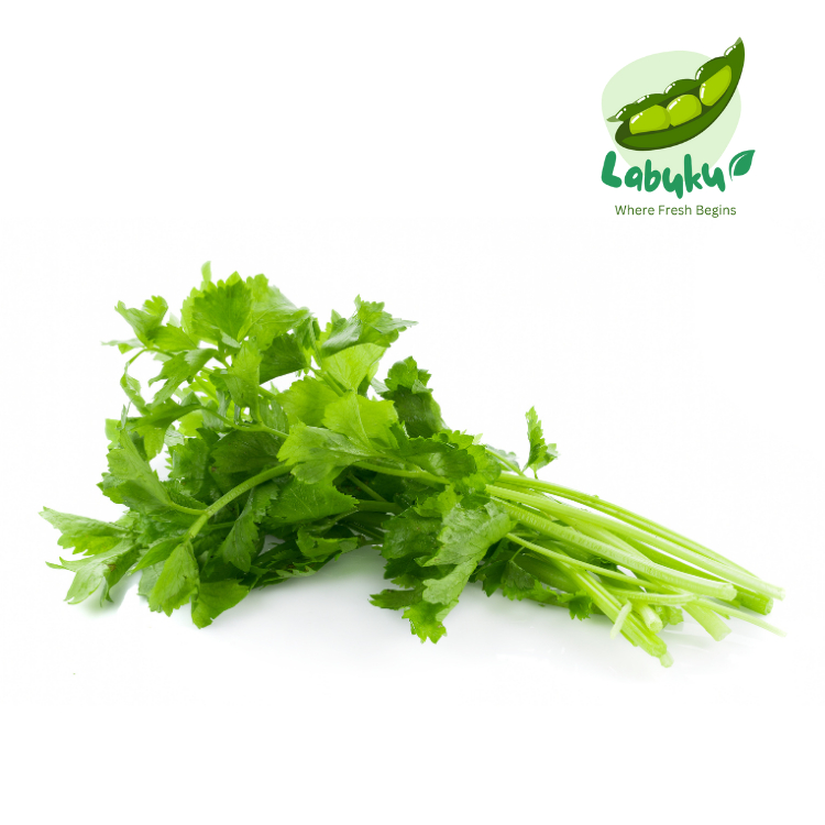 

Labuku – Seledri Segar Premium Lokal