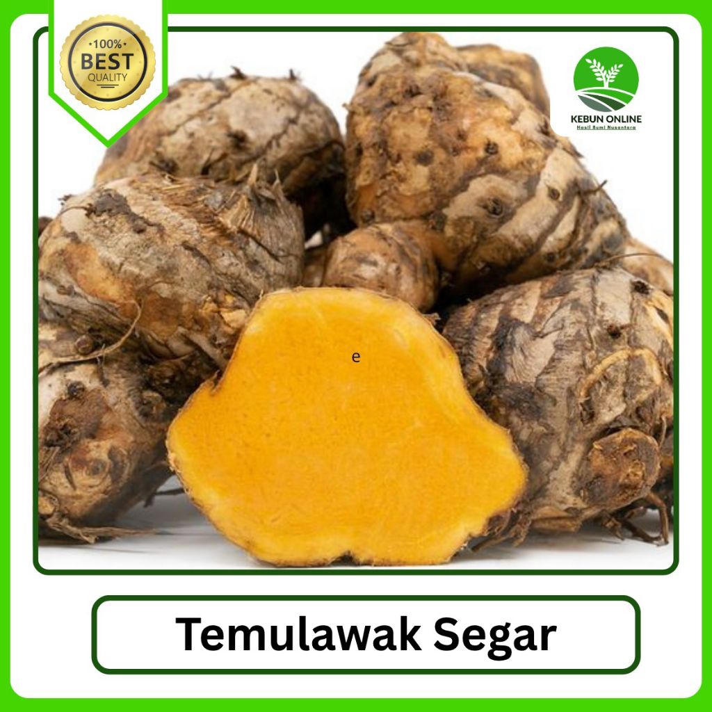 

Temulawak Fresh [1000g] COD Hemat