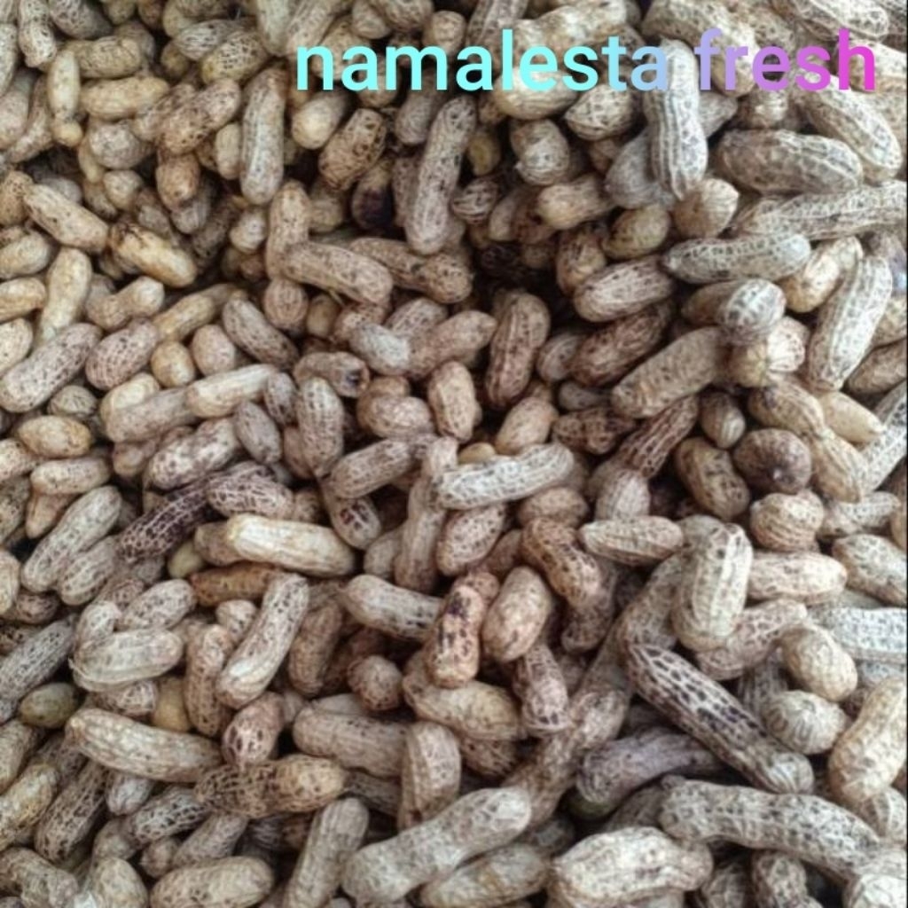 

kacang tanah kulit mentah-namafresh