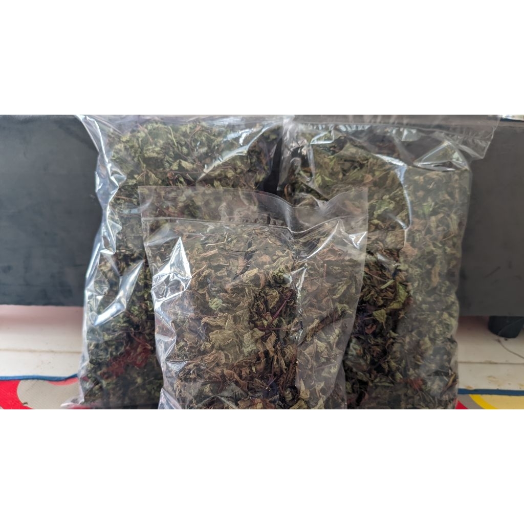 

Daun Mint Kering 1 KG - Pure Peppermint-Natural