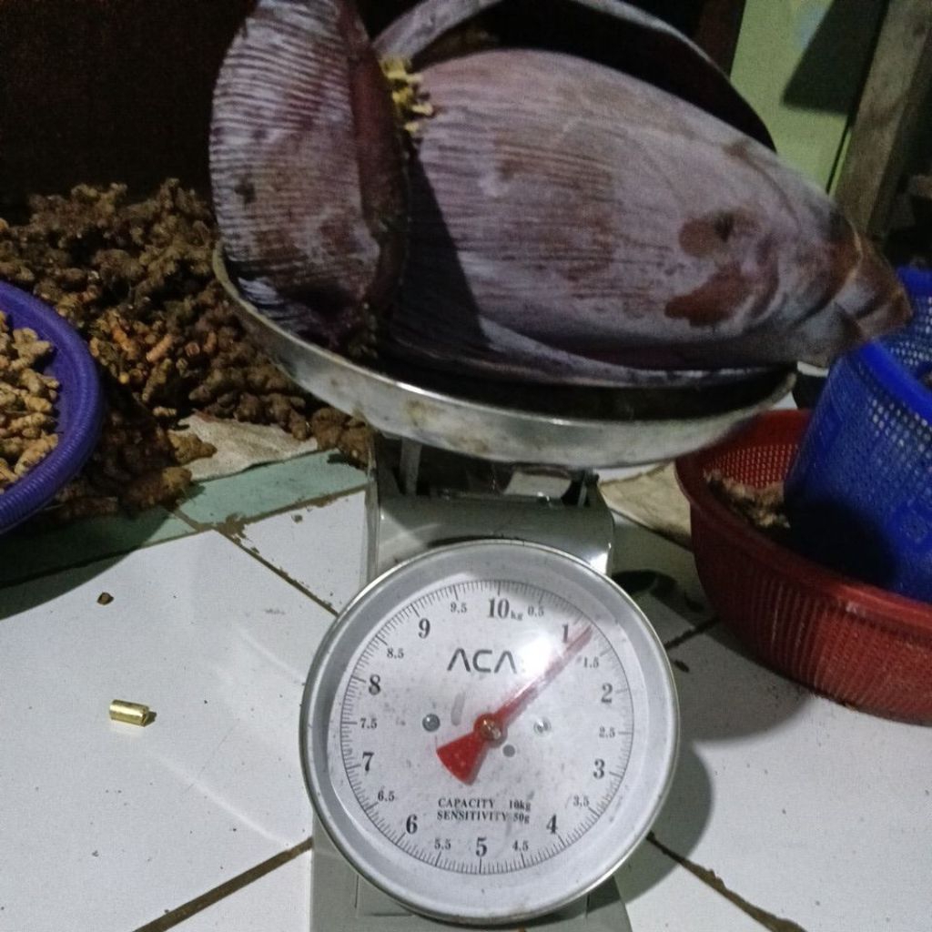 

jantung pisang kepok Ter murah