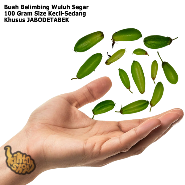 

Buah Belimbing Wuluh 100 Gram