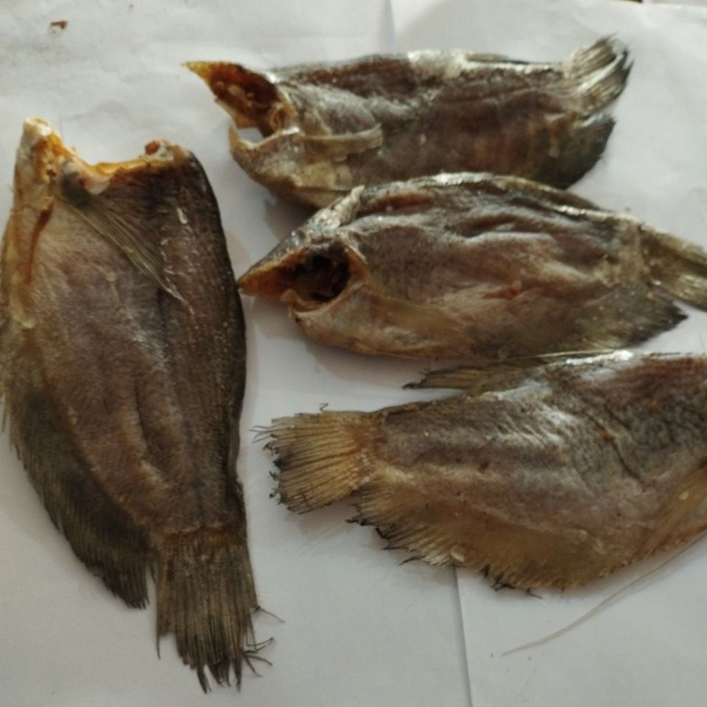 

ikan asin sepat besar