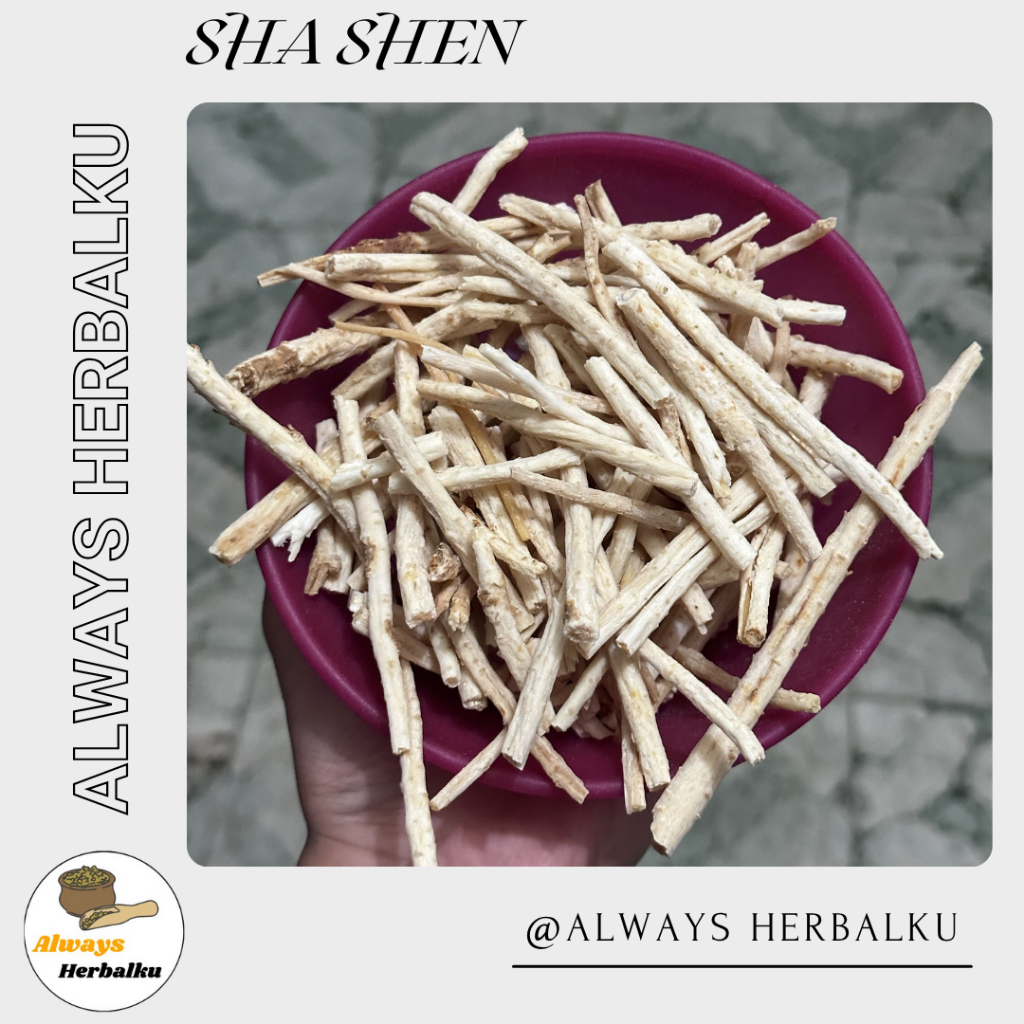 

Sha shen / Glehniae Radix / Adenophorae Radix (500gr)