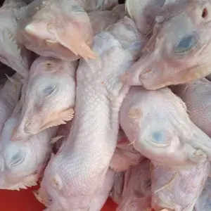 

Pala Ayam isi 3