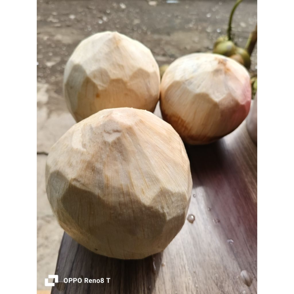 

kelapa kupas muda segar diamond di jamin muda dan ada daging nya ini
