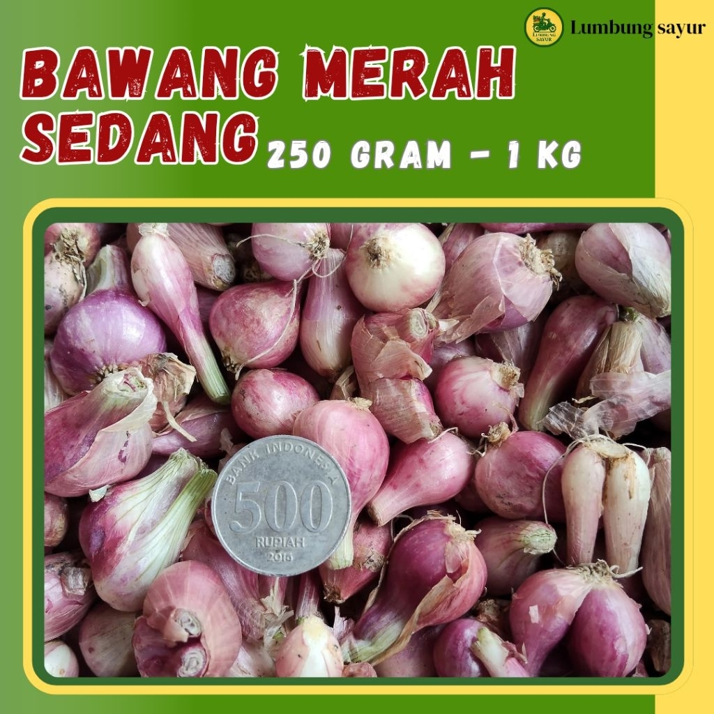 

Brambang Kering Ukuran Sedang | Bawang Merah Kering Premium 250g - 1kg | Tahan Lama & Siap Masak