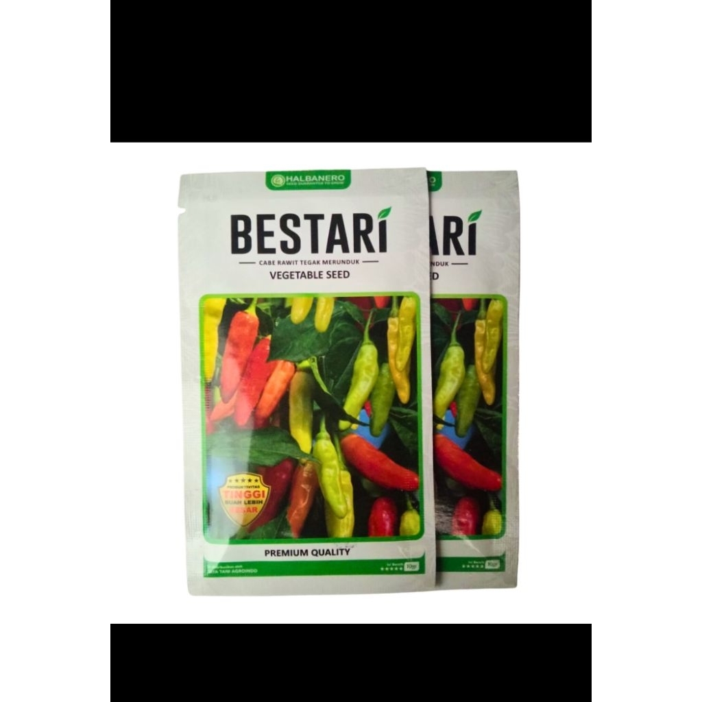 

bestari benih cabai kecil 10 gr original pabrik buahnya pedas