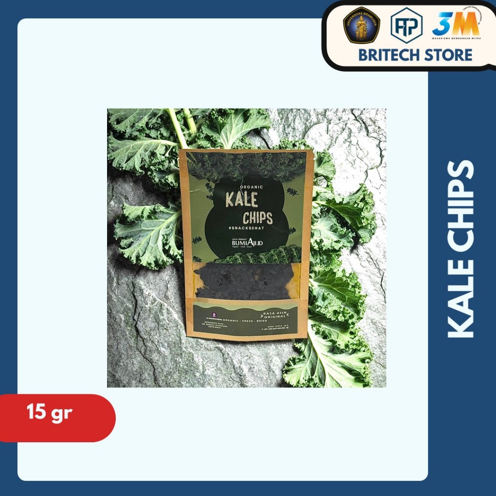 

Kale Chips BumiAji Food 15gr Original Asin