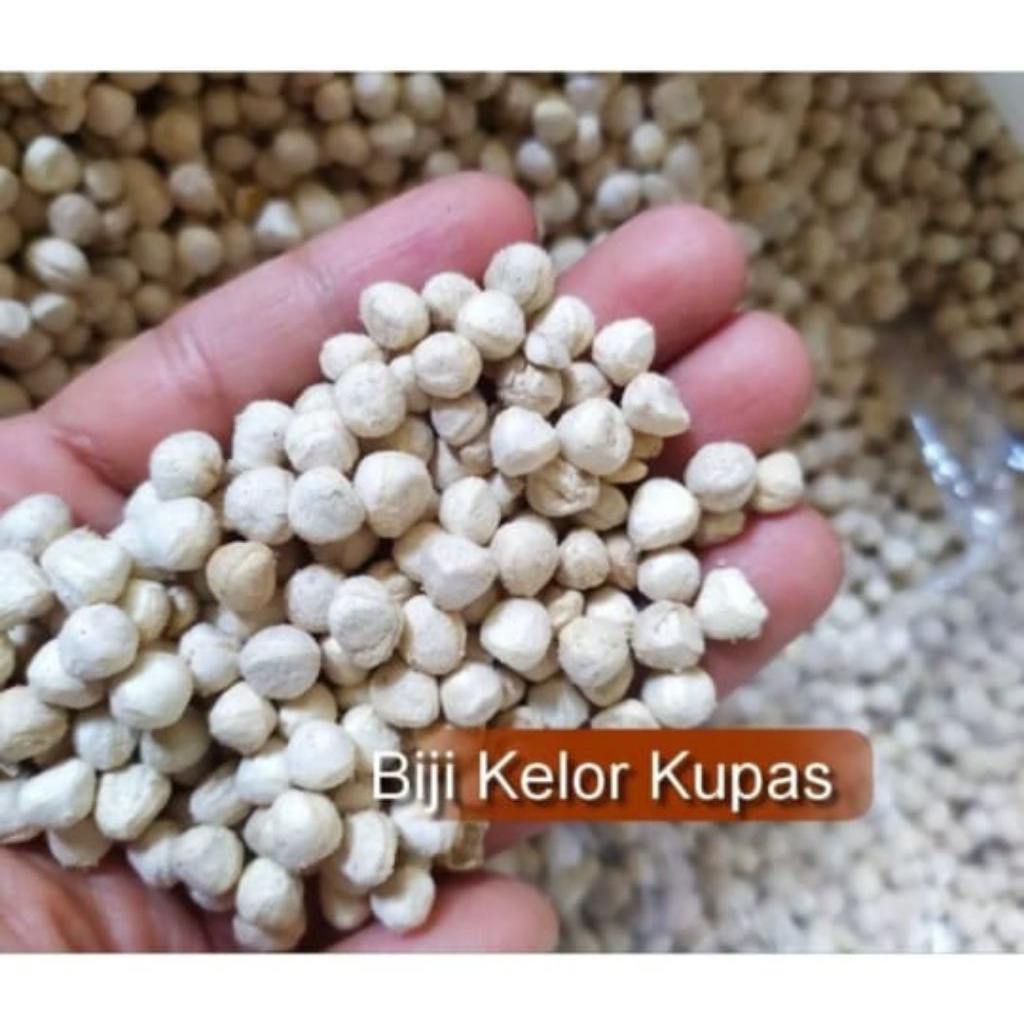

BIJI KELOR KUPAS 1 KG