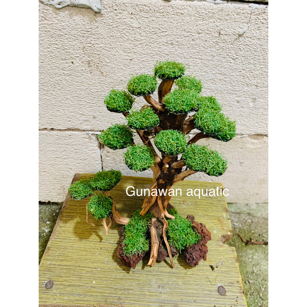 bonsai sintetis/moss sintetis