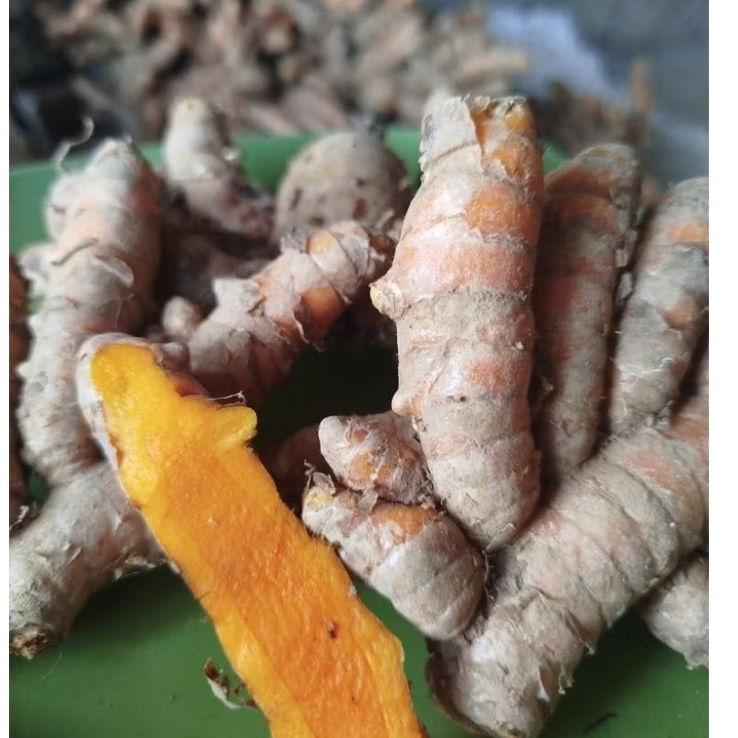 

kunyit segar / kunir segar / kunir fress 1 kg