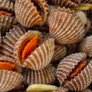 

kerang dara 250 gr