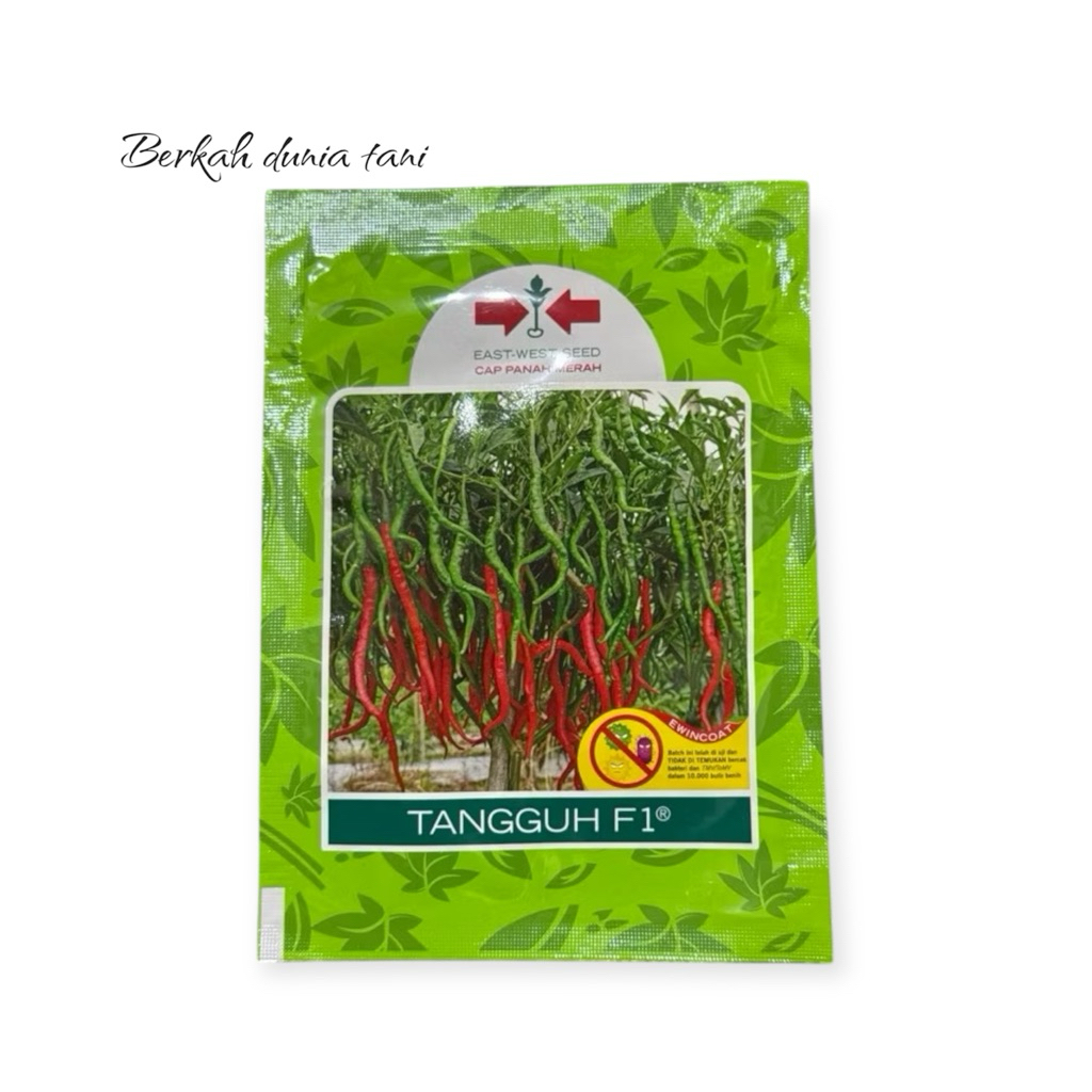 BENIH CABE TANGGUH F1 ~ CAP PANAH MERAH 2000 BUTIR